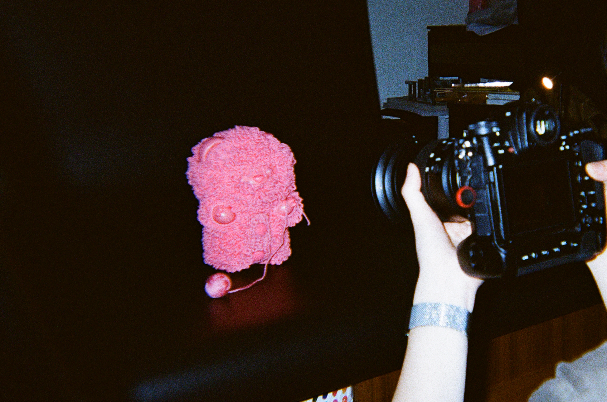 Disposable Film Camera