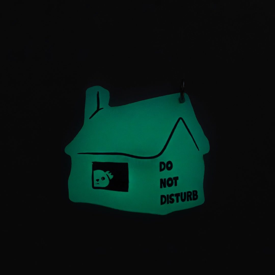 A small house-shaped glow-in-the-dark sign with a window showing a sleeping face and the text 'DO NOT DISTURB' in black, photographed against a completely black background.