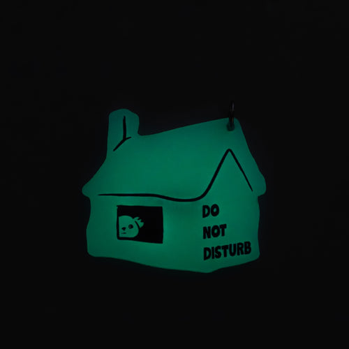 A small house-shaped glow-in-the-dark sign with a window showing a sleeping face and the text 'DO NOT DISTURB' in black, photographed against a completely black background.